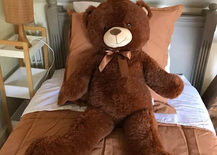 Maison d'hôtes Maison Des Roses 3*